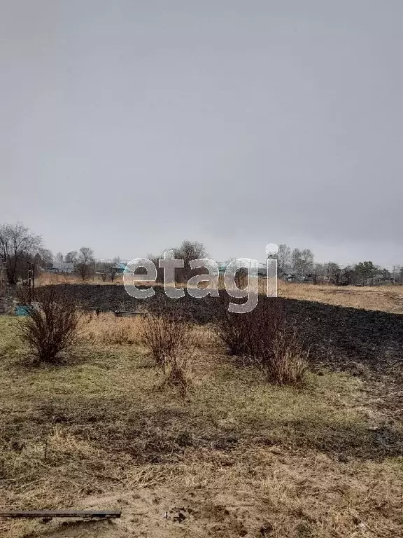 Участок в Амурская область, с. Ивановка ул. Ленина (20.0 сот.) - Фото 0