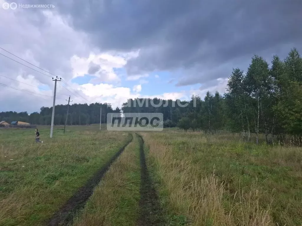 Участок в Челябинская область, Сосновский муниципальный округ, деревня ... - Фото 2