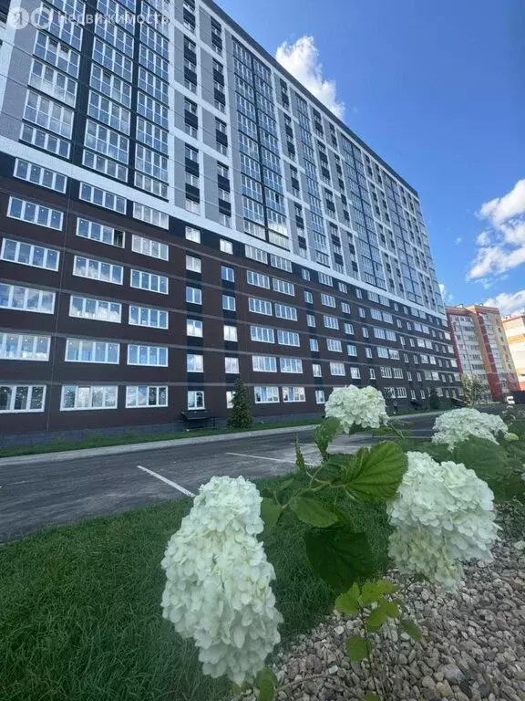 1-комнатная квартира: Брянск, проспект Станке Димитрова, 67к7 (34.3 м) - Фото 1