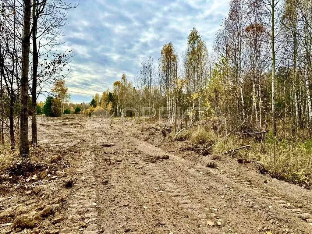 Участок в Тюменская область, Нижнетавдинский район, с. Тюнево  (100.0 ... - Фото 1