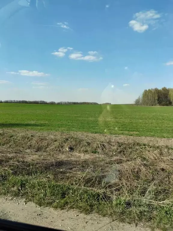 Участок в Владимирская область, Суздальский район, Боголюбовское ... - Фото 1