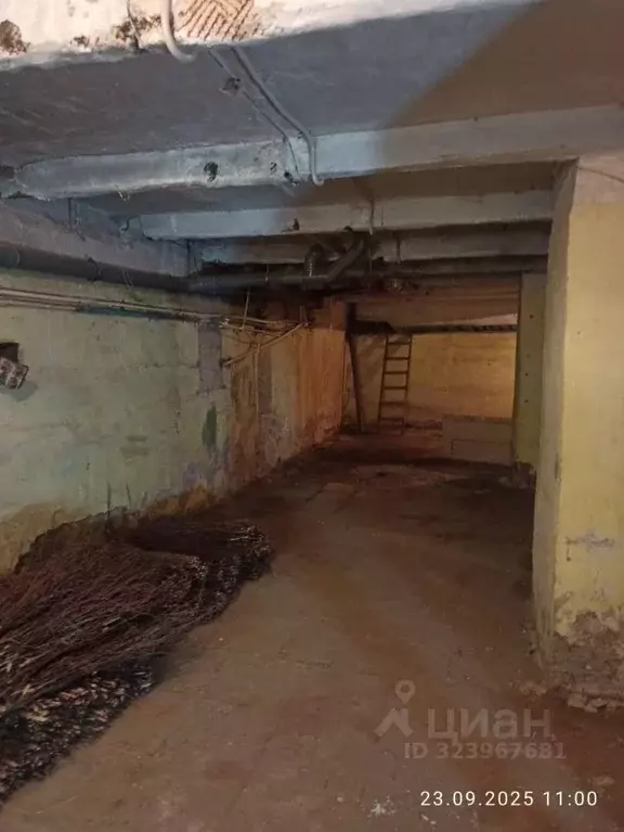 Помещение свободного назначения в Свердловская область, Екатеринбург ... - Фото 2