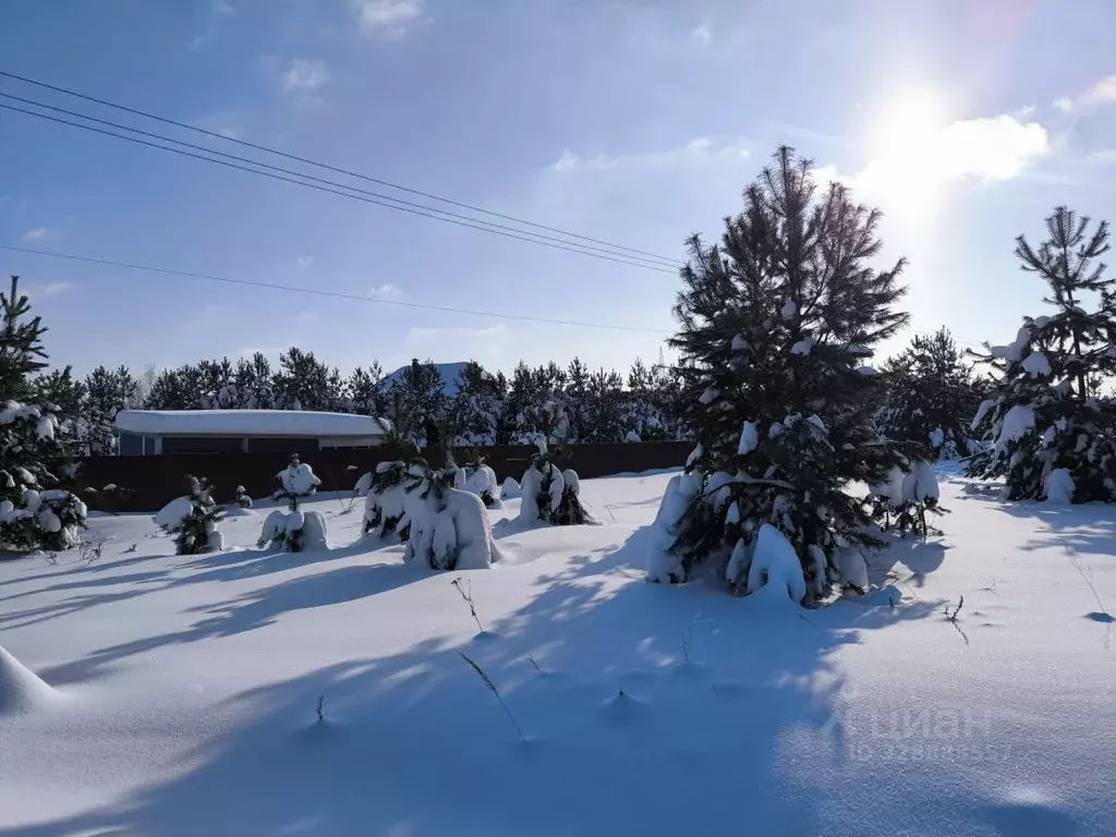 Участок в Московская область, Раменский муниципальный округ, Лесная ... - Фото 2