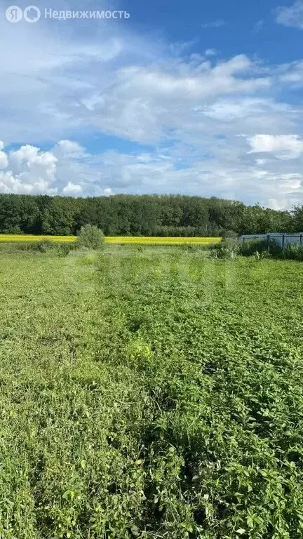 Участок в Республика Башкортостан, городской округ Уфа, деревня ... - Фото 1