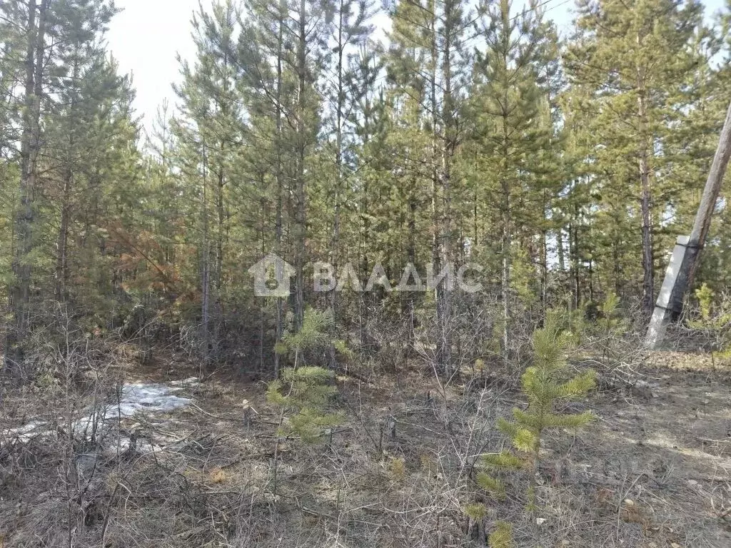 Участок в Бурятия, Улан-Удэ ул. Солбона Ангабаева (8.0 сот.) - Фото 2