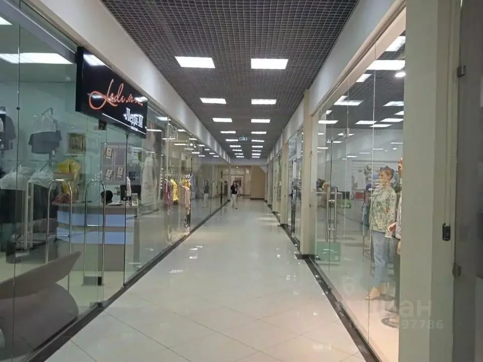 Торговая площадь в Владимирская область, Владимир Большая Московская ... - Фото 1