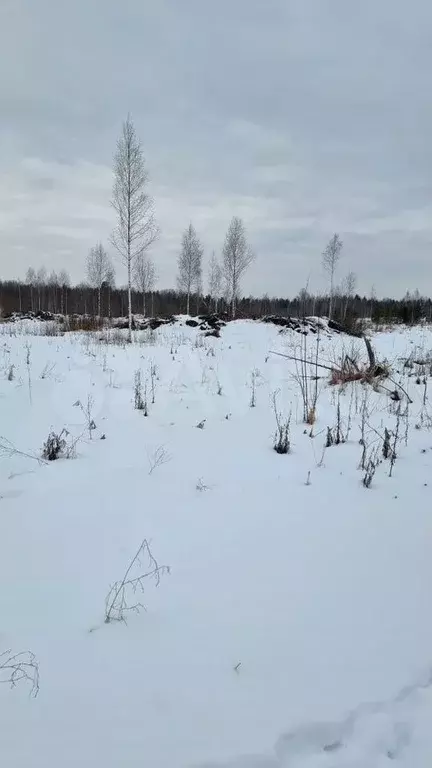 Участок 100 сот. (СНТ, ДНП) - Фото 0