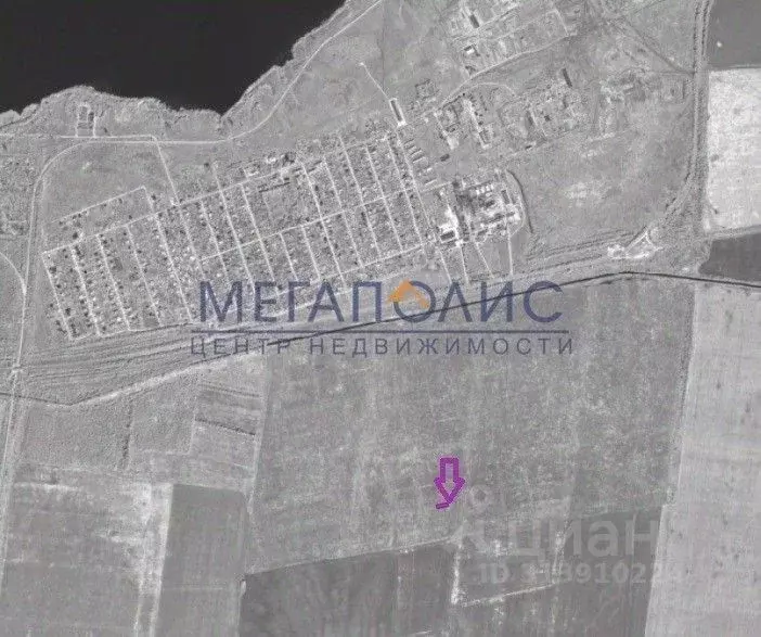 Участок в Саратовская область, Балаковский район, с. Натальино ул. ... - Фото 1