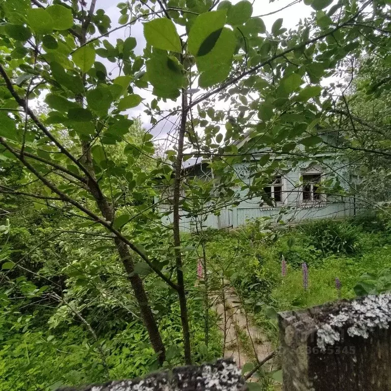Участок в Московская область, Одинцовский городской округ, пос. ... - Фото 0