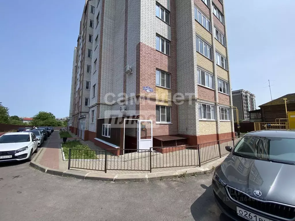 Торговая площадь в Курская область, Курск ул. Ломоносова, 47 (56 м) - Фото 0