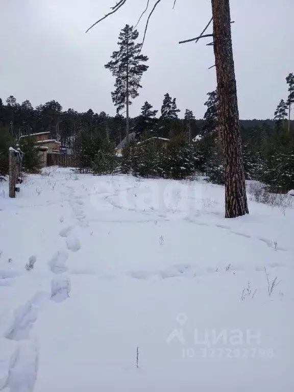 Участок в Бурятия, Улан-Удэ ул. Купеческая, 26 (8.0 сот.) - Фото 2