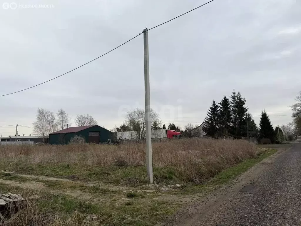 Участок в Калининградская область, Гурьевский муниципальный округ, ... - Фото 1