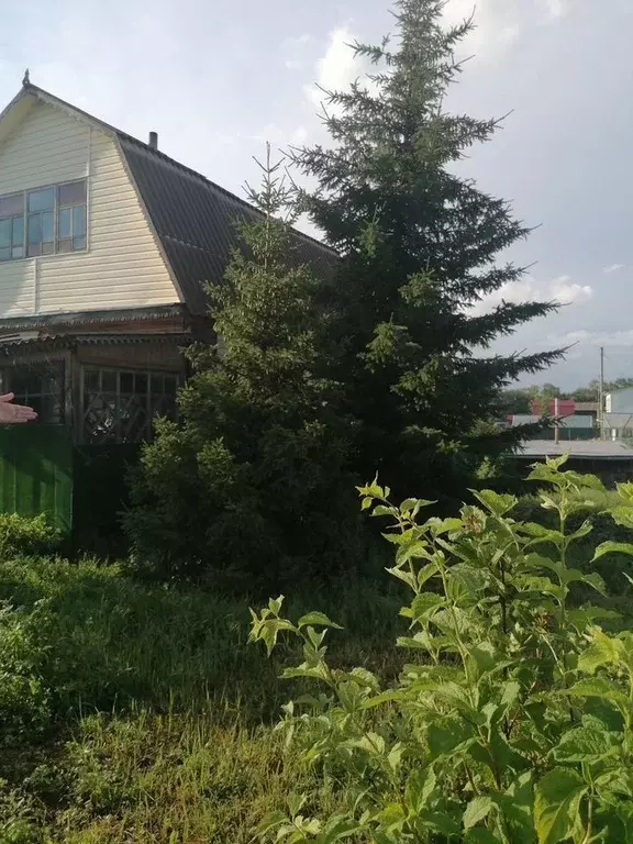 Дом в Новосибирская область, Бердск Волна СНТ,  (70 м) - Фото 0