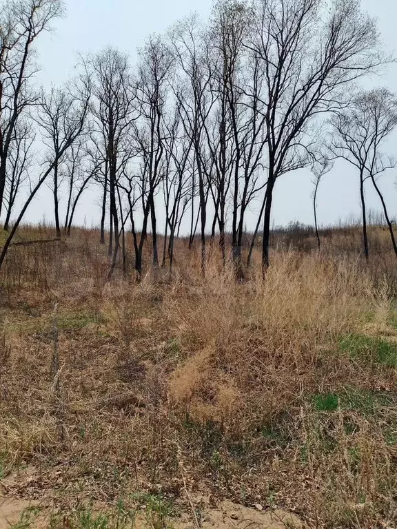 Участок 10,3 сот. (СНТ, ДНП) - Фото 1