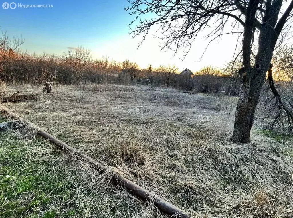 Участок в Ростовская область, Белокалитвинское городское поселение, ... - Фото 1