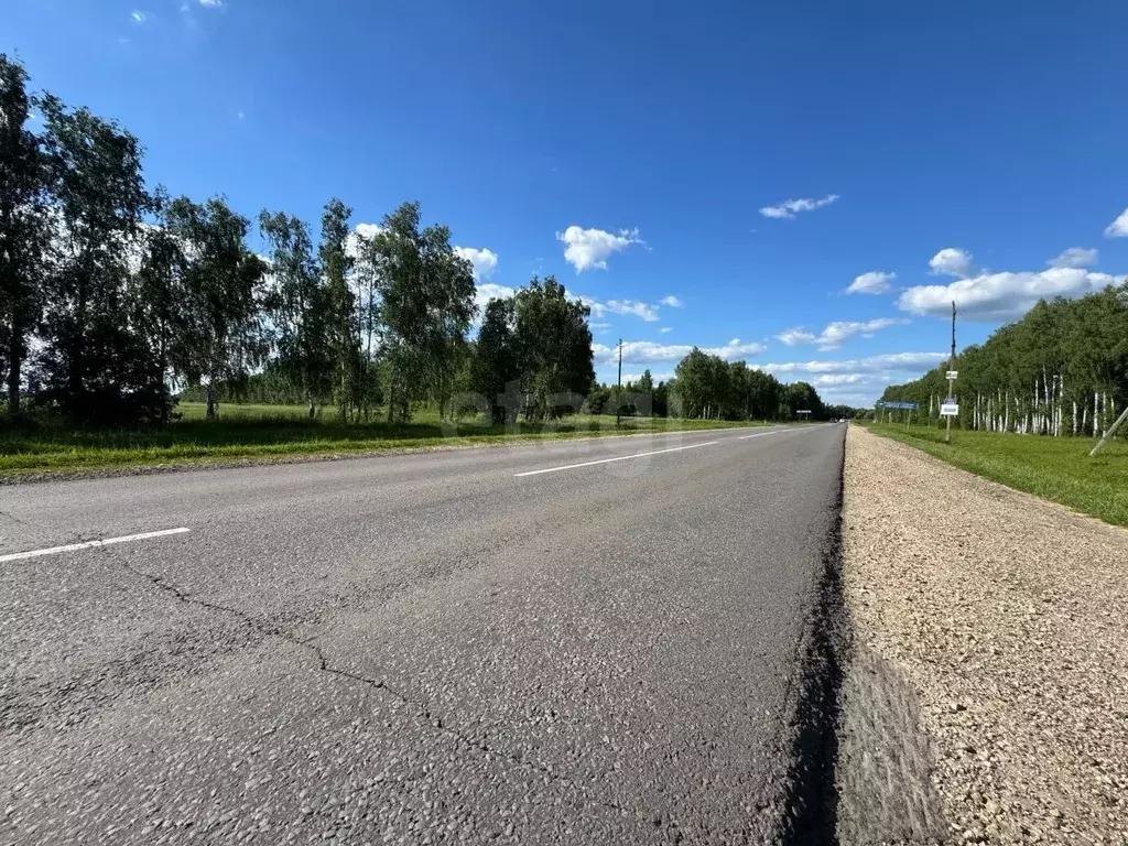 Дом в Пензенская область, Бессоновский район, с. Чемодановка, Инра ... - Фото 2