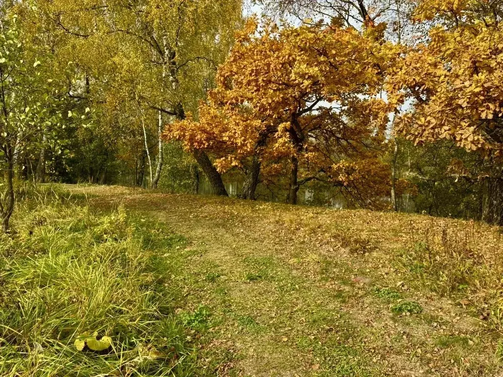 Участок в Московская область, Домодедово Белые Столбы мкр, ул. ... - Фото 2