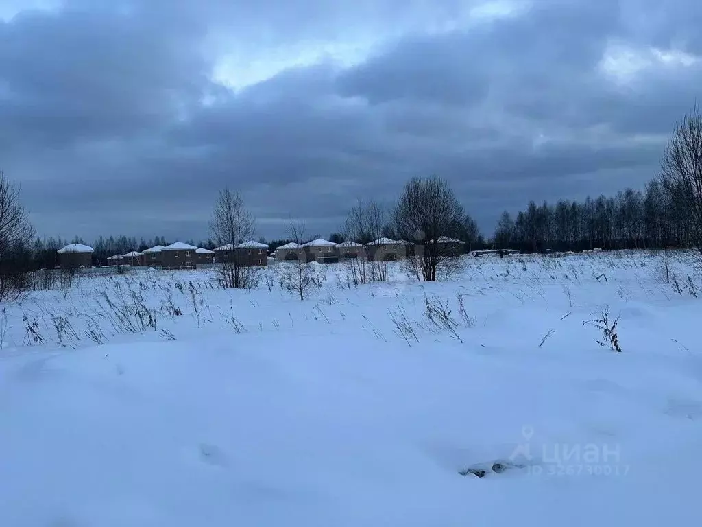Участок в Ярославская область, Ярославский муниципальный округ, ... - Фото 1