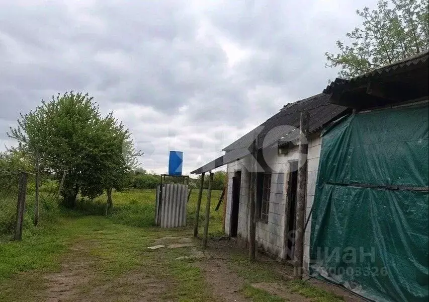 Дом в Краснодарский край, Курганинское городское поселение, Свобода ... - Фото 2