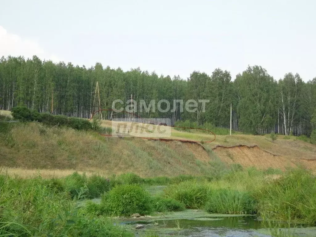Участок в Свердловская область, Каменский муниципальный округ, д. ... - Фото 2
