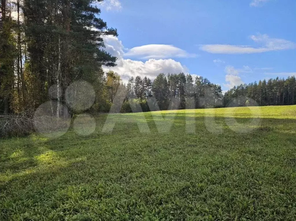 Участок 100 сот. (СНТ, ДНП) - Фото 0