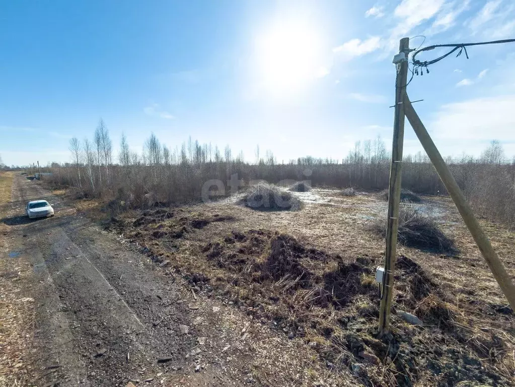 Участок в Тюменская область, Тюмень Большое Царево-1 СНТ,  (9.76 сот.) - Фото 1
