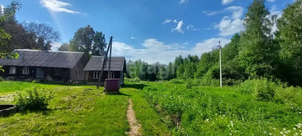 Дом в Псковская область, Печорский муниципальный округ, д. Буравцы  ... - Фото 1
