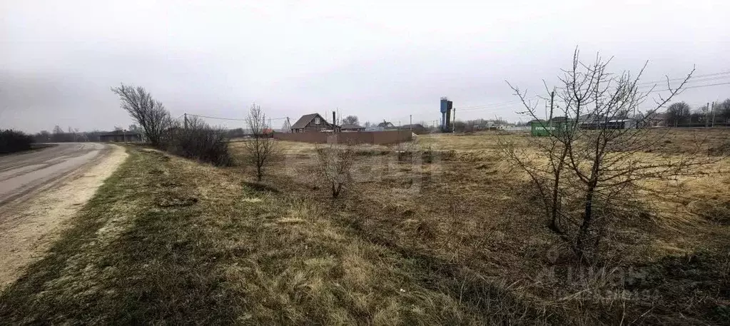 Участок в Воронежская область, Рамонский район, Березовское с/пос, д. ... - Фото 1