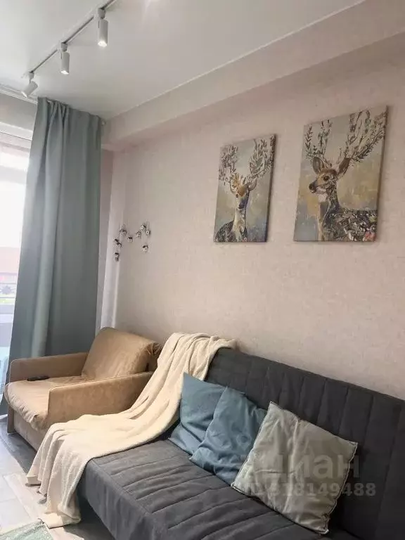 Студия Краснодарский край, Сочи Лазаревское жилрайон, ул. Калараша, ... - Фото 2