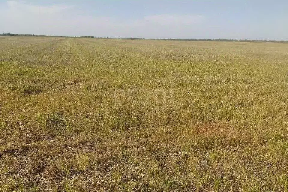 Участок в Липецкая область, Елецкий район, Большеизвальский сельсовет, ... - Фото 1