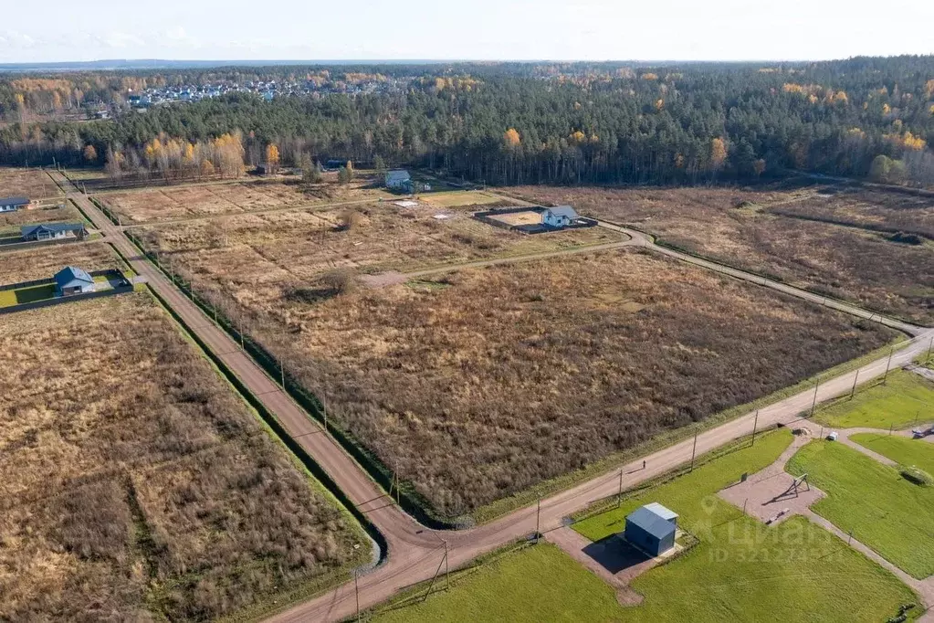Участок в Ленинградская область, Приозерский район, Сосновское с/пос, ... - Фото 2