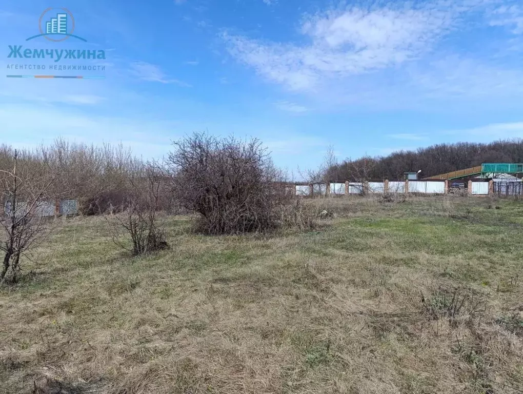 Участок в Ульяновская область, Мелекесский район, Рязановское с/пос, ... - Фото 1