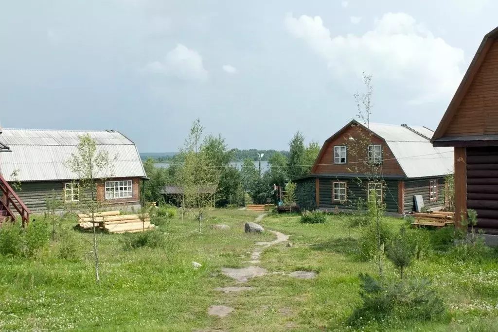 Участок в Тверская область, Пеновский муниципальный округ, д. Заречье  ... - Фото 2