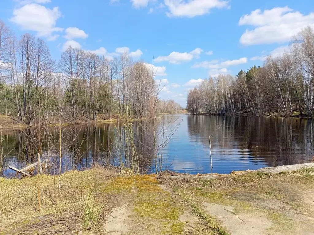 Участок в Нижегородская область, Лысковский район, с. Нижний Красный ... - Фото 1