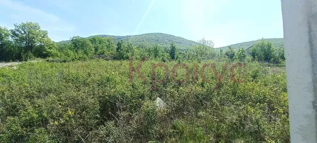 Участок в Краснодарский край, Новороссийск городской округ, с. ... - Фото 1