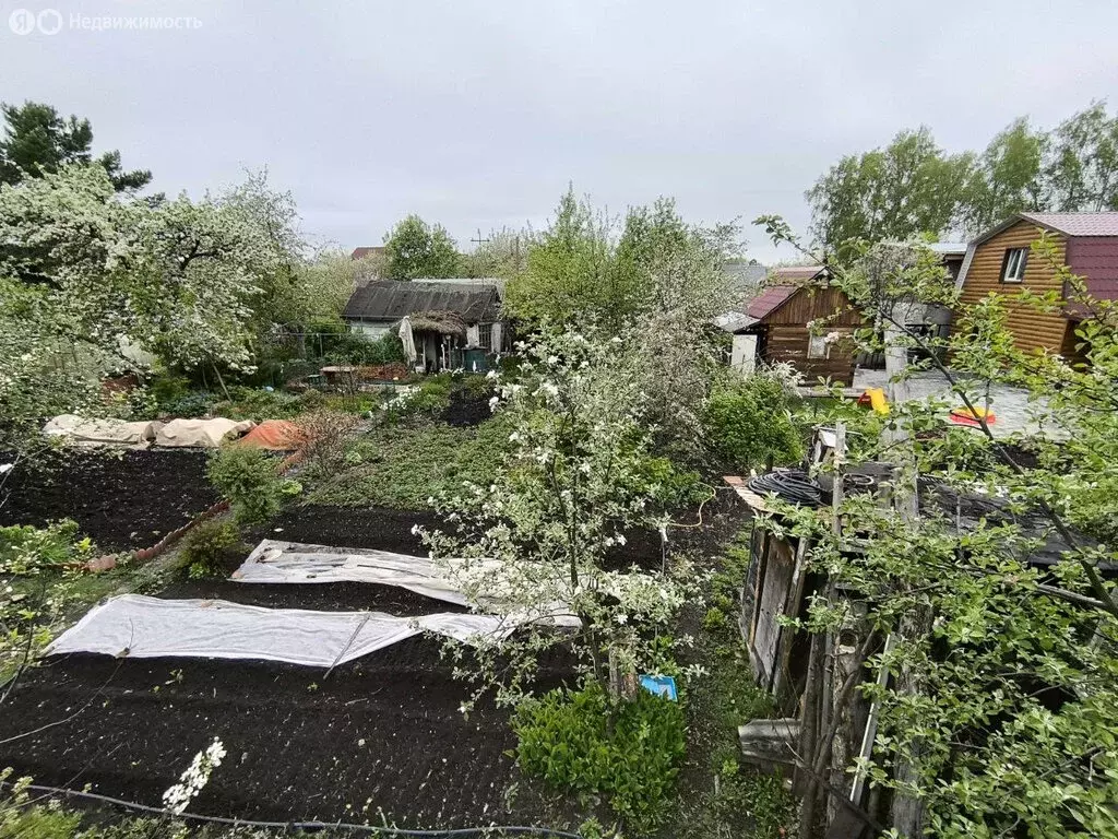 Дом в Челябинск, СНТ Трубопрокатчик-3, 7-я улица (20 м) - Фото 1