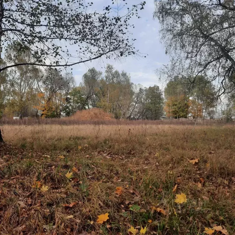 Участок в Московская область, Ступино городской округ, с. Суково ул. ... - Фото 0