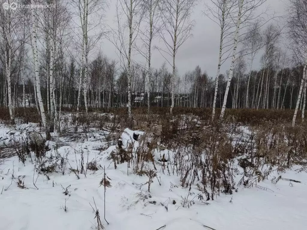 Участок в Тульская область, городской округ Тула, деревня Фёдоровка ... - Фото 0