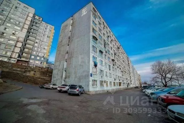 Студия Приморский край, Владивосток ул. Добровольского, 9 (23.0 м) - Фото 0