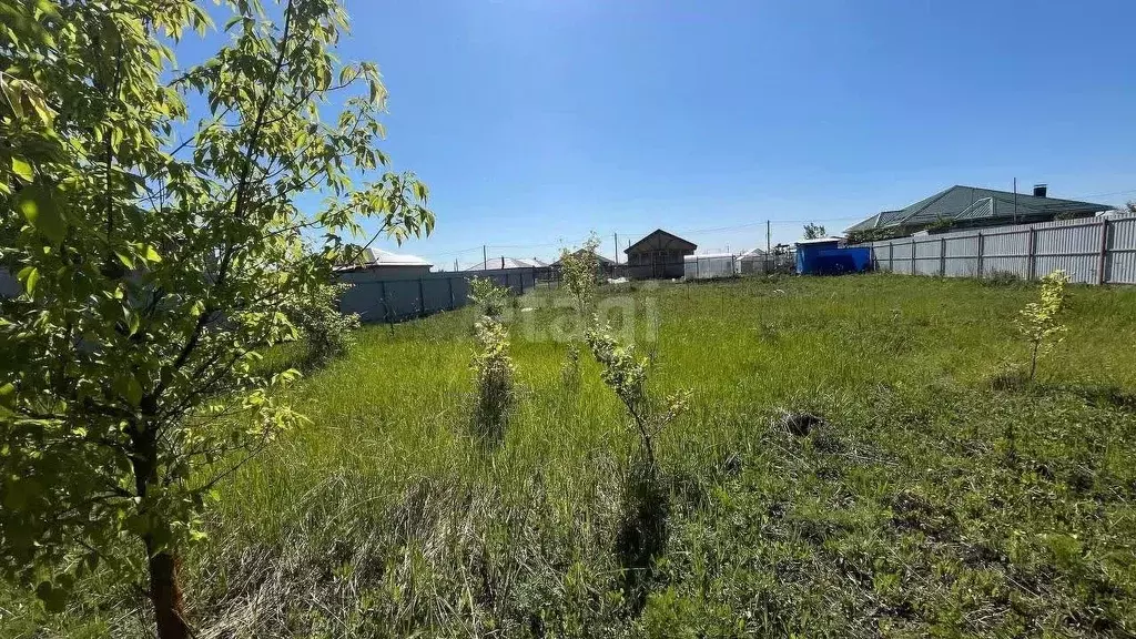 Участок в Воронежская область, Новоусманский район, Отрадненское ... - Фото 1