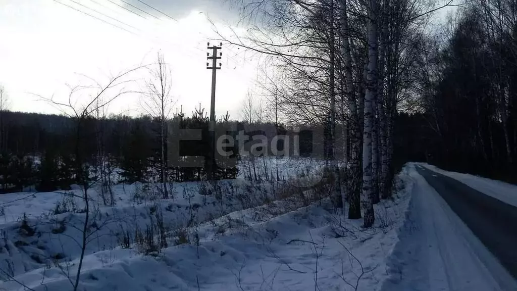 Участок в Челябинская область, Чебаркульский муниципальный округ, ... - Фото 1