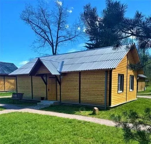 Комната Ленинградская область, Лужский район, Скребловское с/пос, д. ... - Фото 2