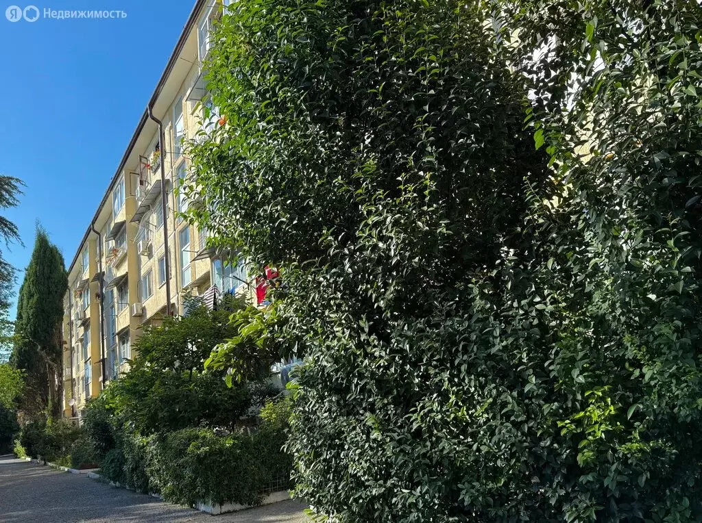 Квартира-студия: Сочи, Курортный проспект, 98/10 (13 м) - Фото 1