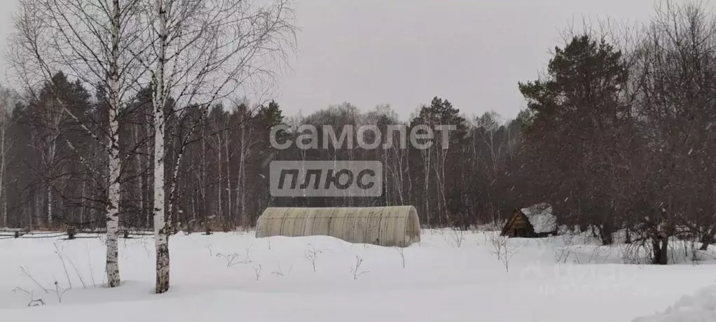 Участок в Алтай, Турочакский район, с. Каначак  (250.0 сот.) - Фото 2