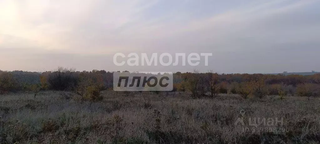Участок, 49 сот., 0 - Фото 0