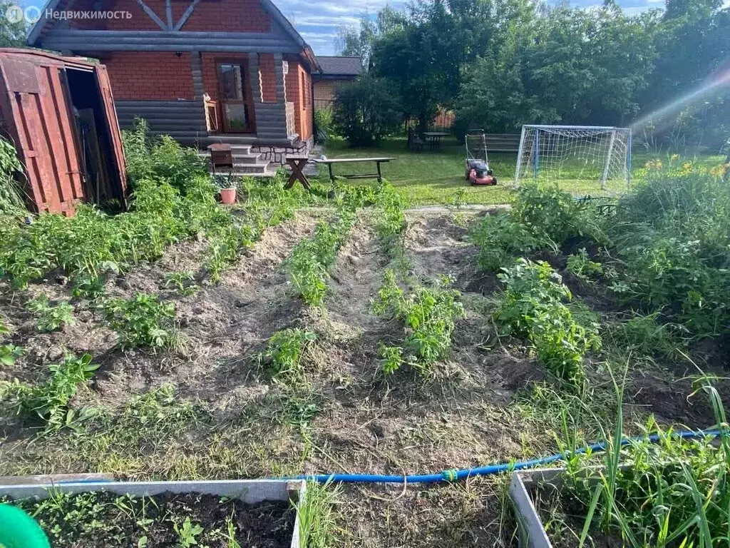 Дом в Тюмень, СНТ Берёзовая Роща, Пихтовая улица (56 м) - Фото 2