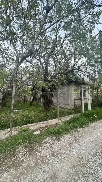 Участок 3,5 сот. (СНТ, ДНП) - Фото 0