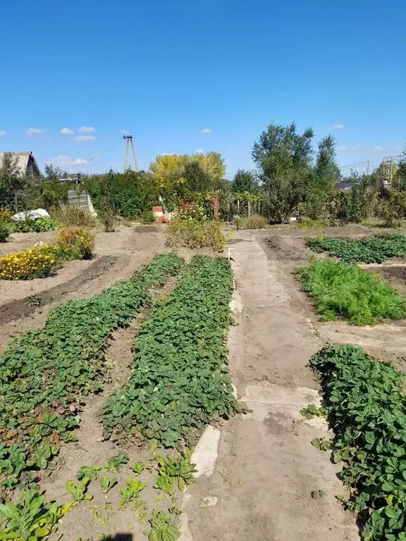 Участок 5,47 га (СНТ, ДНП) - Фото 0