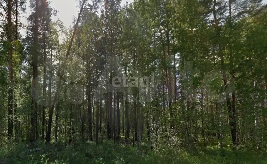 Участок 8,8 сот. (ИЖС) - Фото 0