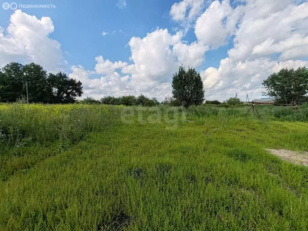 Дом в Талалаевка, Молодёжная улица (44 м) - Фото 0